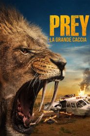 Prey – La grande caccia
